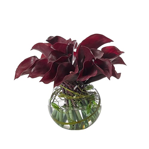 Calla Lilly in Glass Bowl