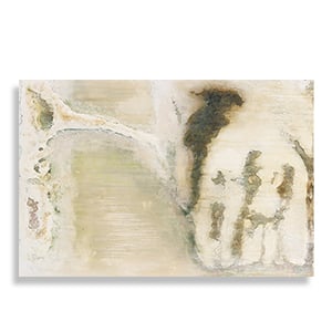 GMOC11 Artwork